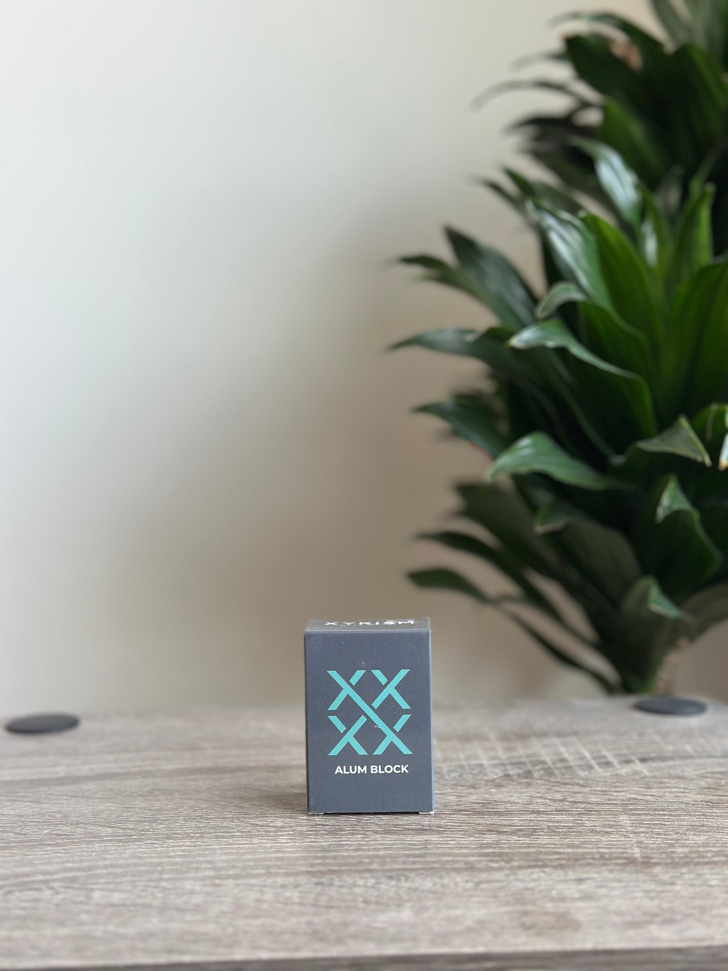 Starter Kit: Shaving Soap, Alum Block, Brush